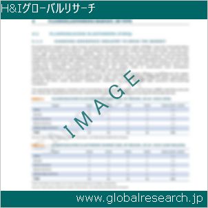 グローバルリサーチ調査レポートのイメージ